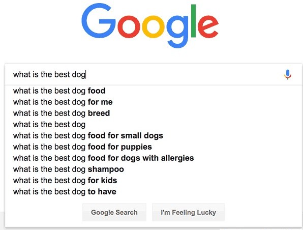 Google search for dog problems