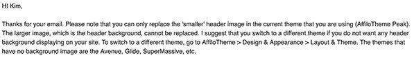 affilotheme customization limitations support reponse