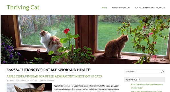 Thriving Cat Wealthy Affiliate website example